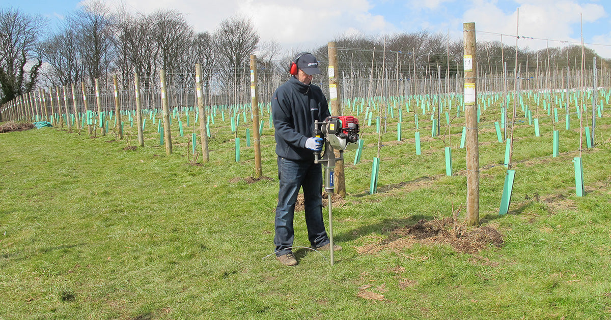 Speeding Up Success: How Petrol Post Driving Enhances Vineyard Trellis Installation